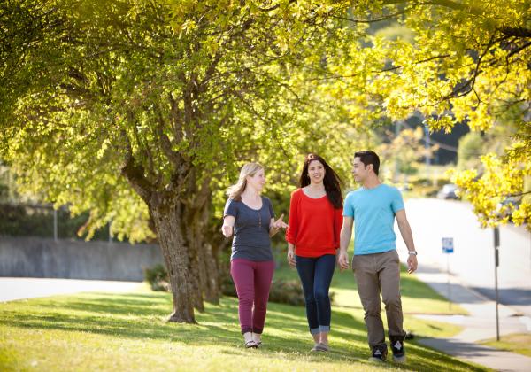 Students walking under a tree. 