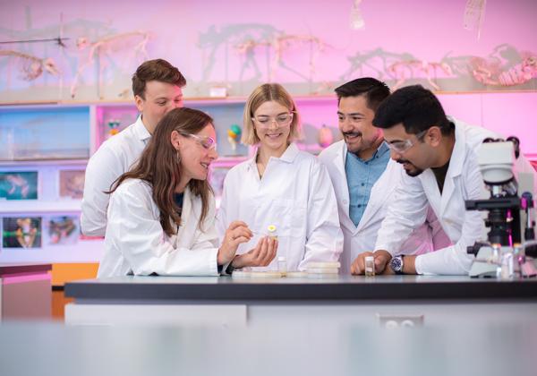 Students working in a lab. 